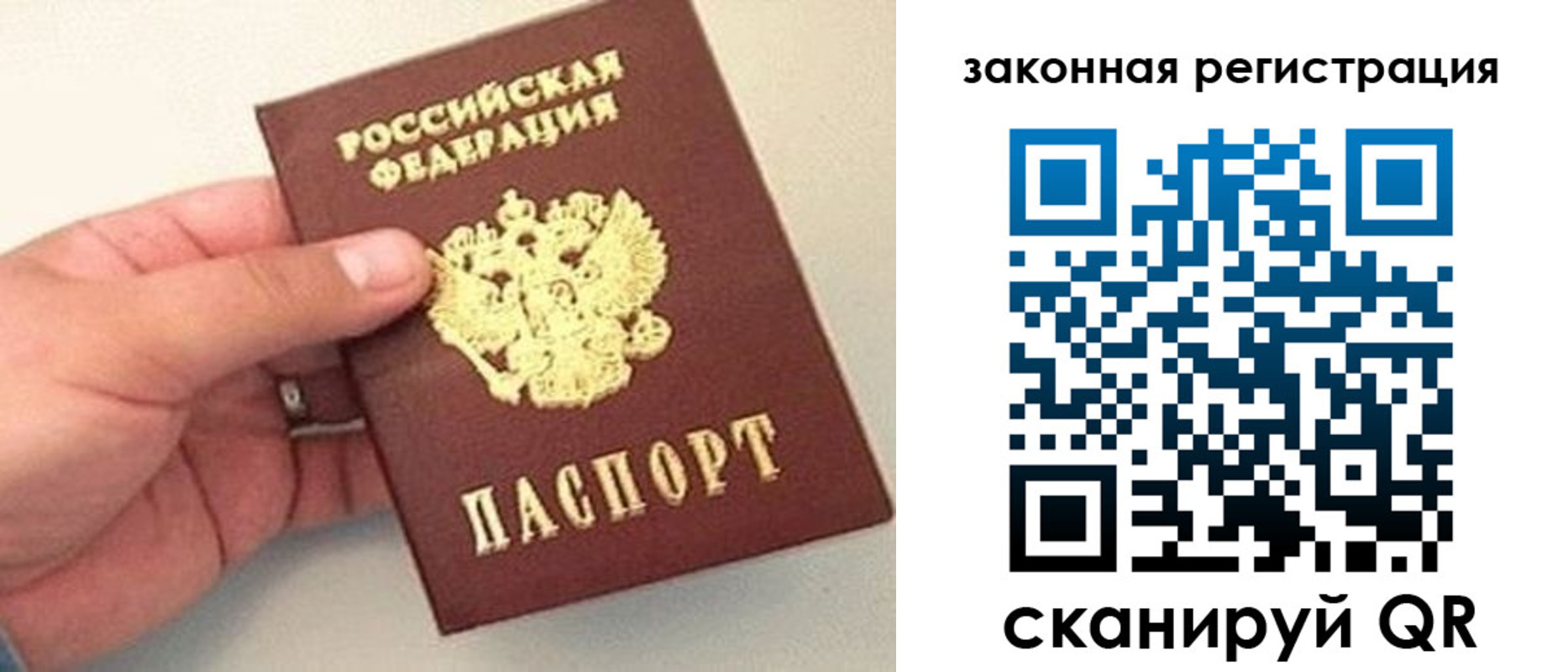 прописка для школы в Коле
